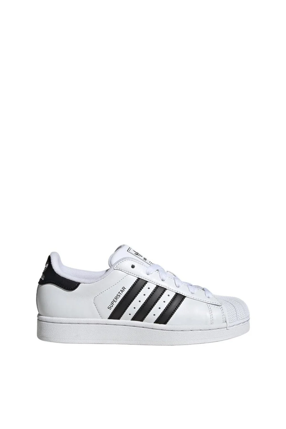 Adidas Superstar Shell Toe (12'li Buçuklu Garson-Merdane)